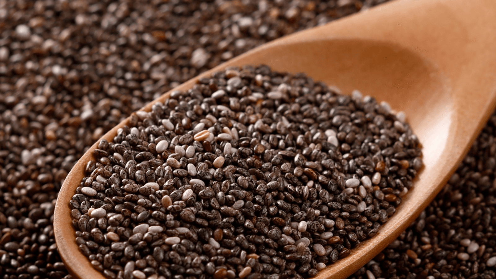 Chia Seeds — portrait